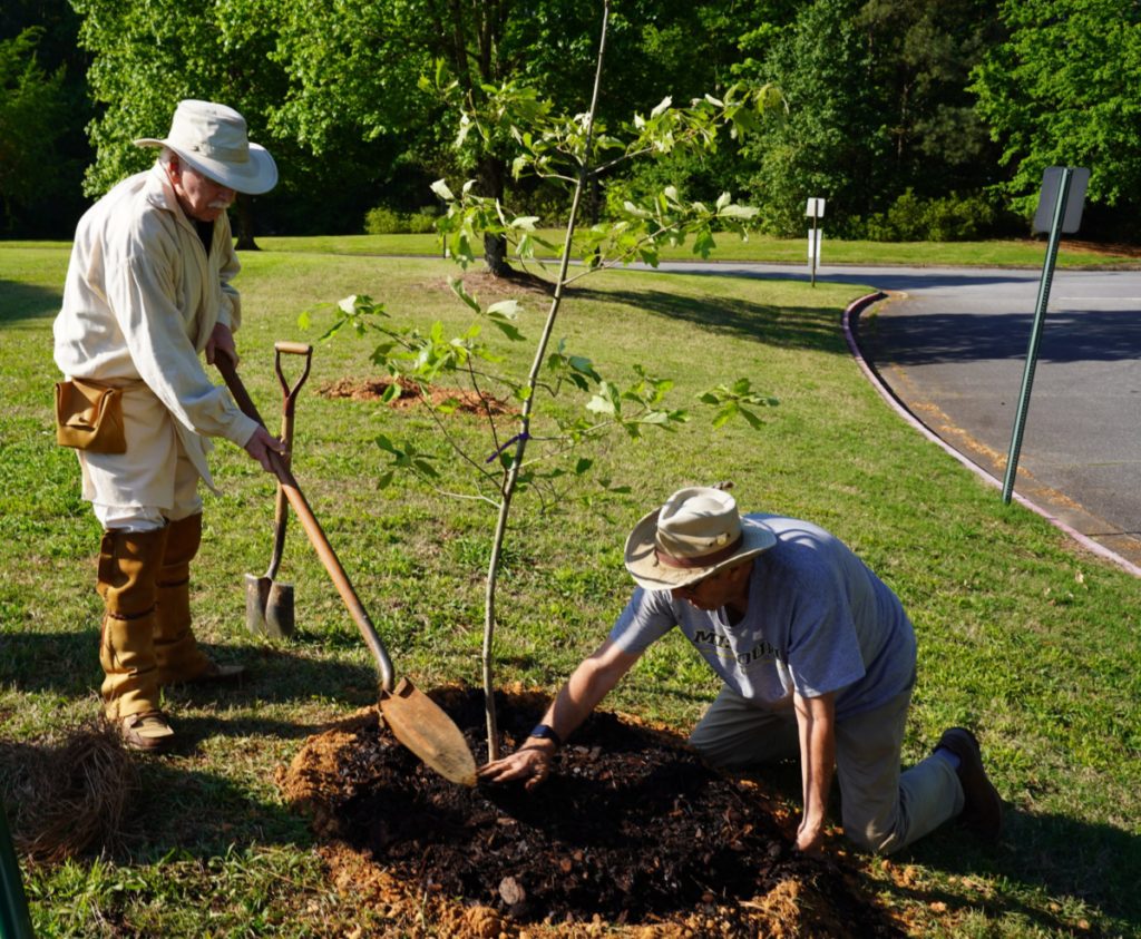 SAR members planting tree